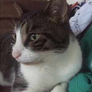 Meet your Posher, Ronnie